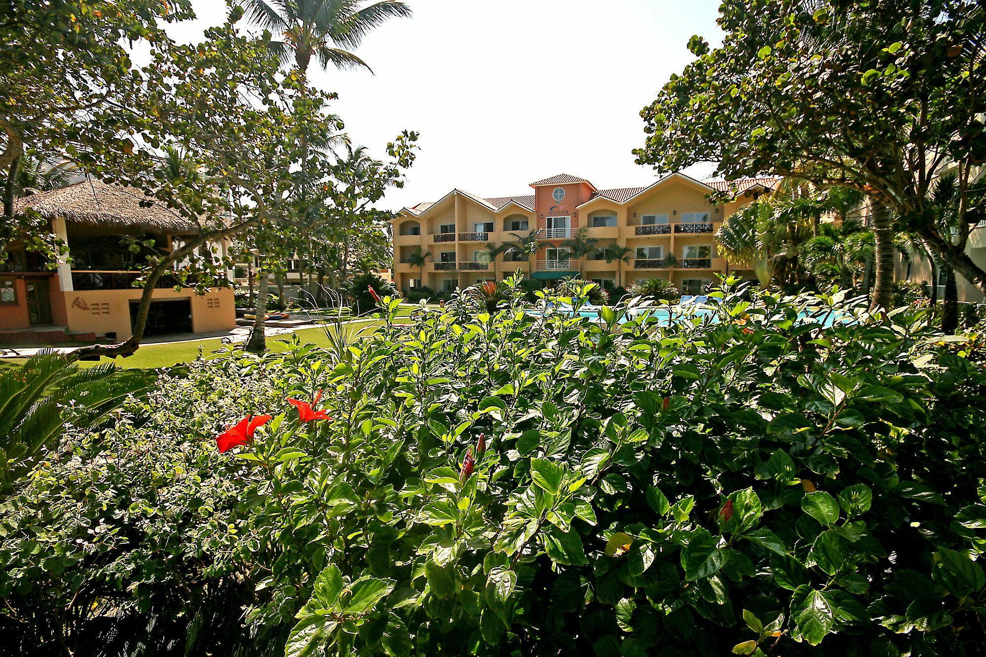 Agualina Kite Resort Cabarete Exterior photo